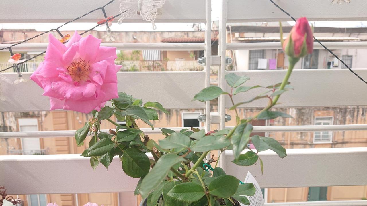 נאפולי Sky-Terrace In Central Station, 3 Bedrooms מראה חיצוני תמונה