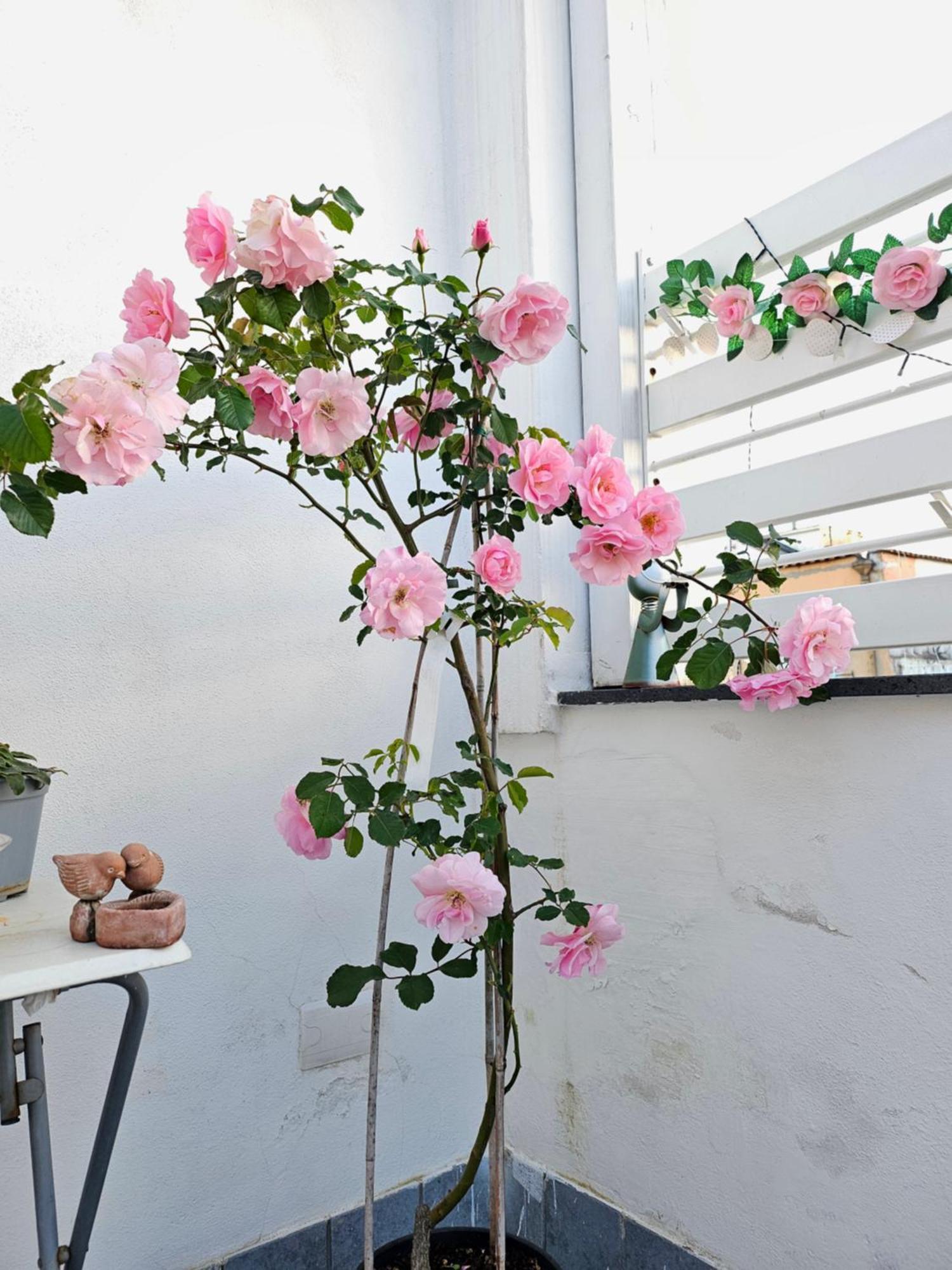 נאפולי Sky-Terrace In Central Station, 3 Bedrooms מראה חיצוני תמונה